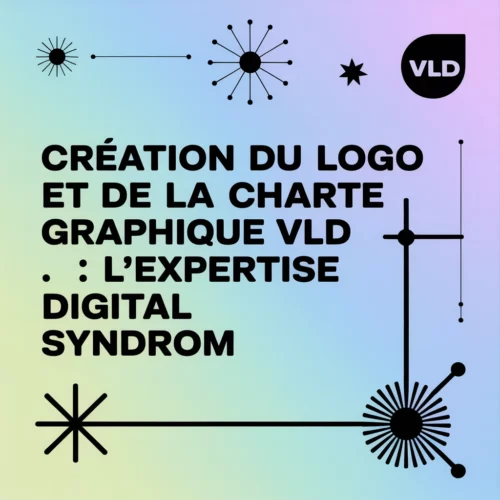 Création du logo et de la charte graphique VLD SOLAR : l'expertise Digital Syndrom